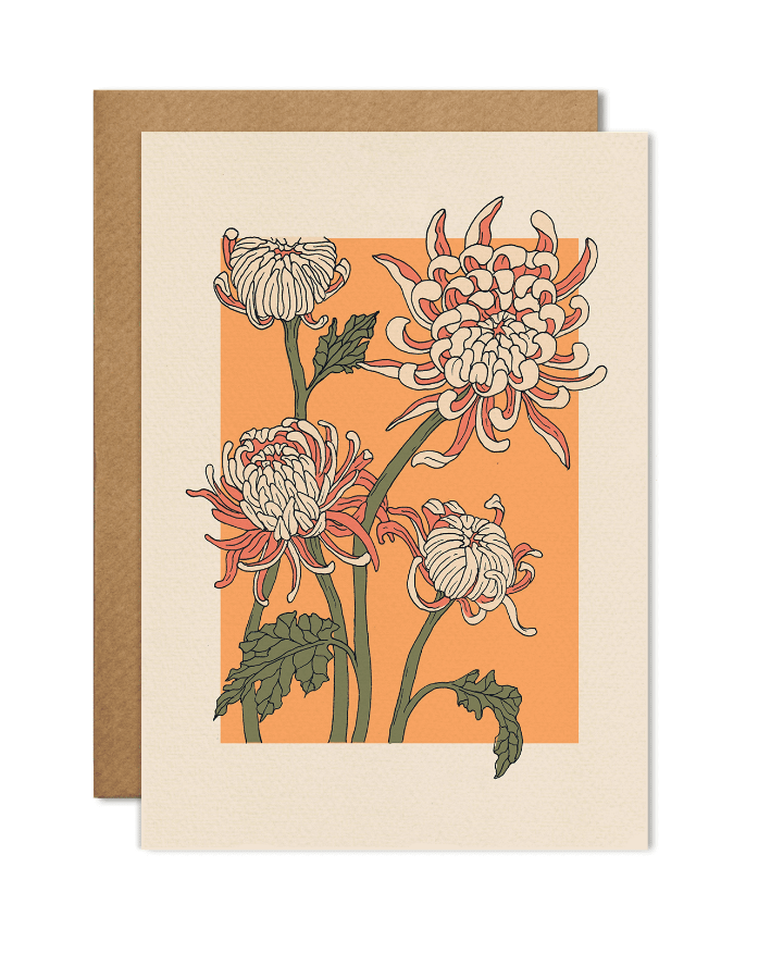 Carte illustré représentant la chrysanthème araignée (spider)