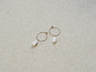 gauhart bijoux boucles d'oreilles gauri or coquillages mini créoles